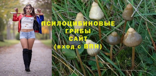 мяу мяу кристалл Алексин